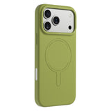 #color_Pale Lime