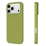 #color_Pale Lime